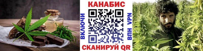 Купить закладки  Новоалександровск  Cannafood конопля 