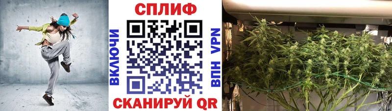 Купить закладки  Новоалександровск  Конопля марихуана 